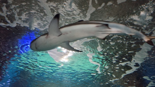 ../images/fotoalbum/lanzarote23/2023-09-18 10.53.33